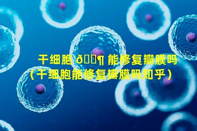 干细胞 🐶 能修复瓣膜吗（干细胞能修复瓣膜吗知乎）